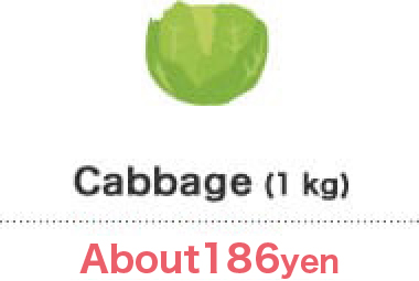 cabbage(1kg)