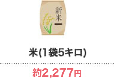 米(1袋5キロ)