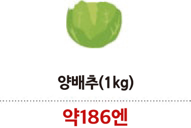 양배추(1kg)
