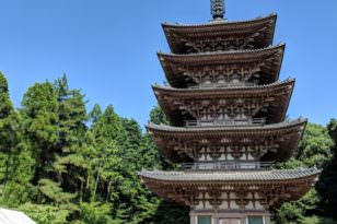 Learn About World Heritage Sites in Kyoto! (Daigo-ji Temple)