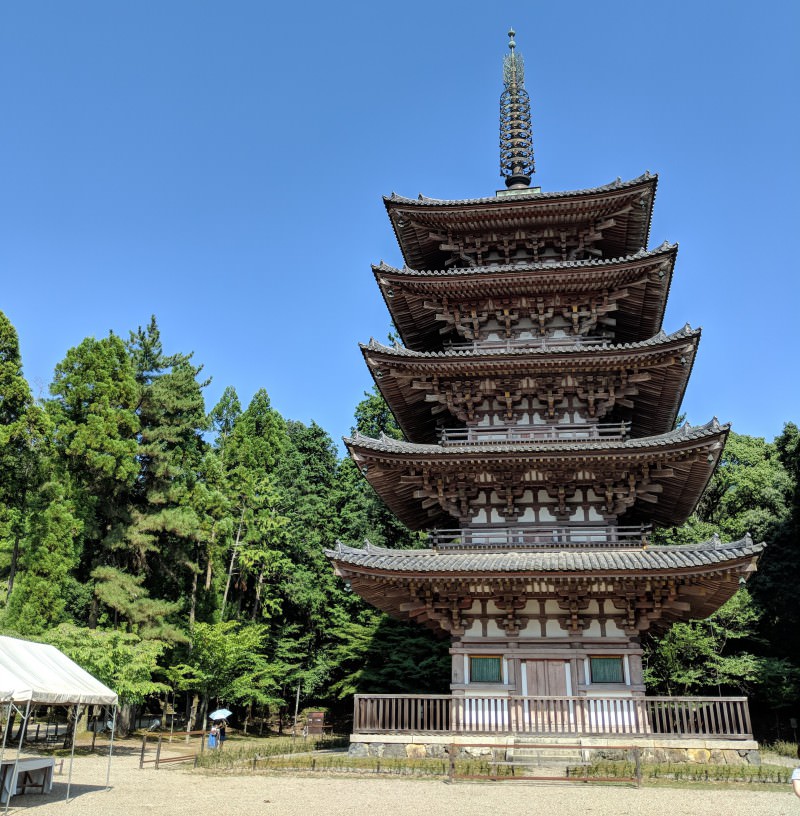 京都で世界遺産を学ぼう！ 醍醐寺編