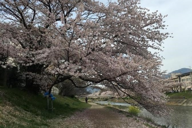 一目惚れの出会いーー私と京都