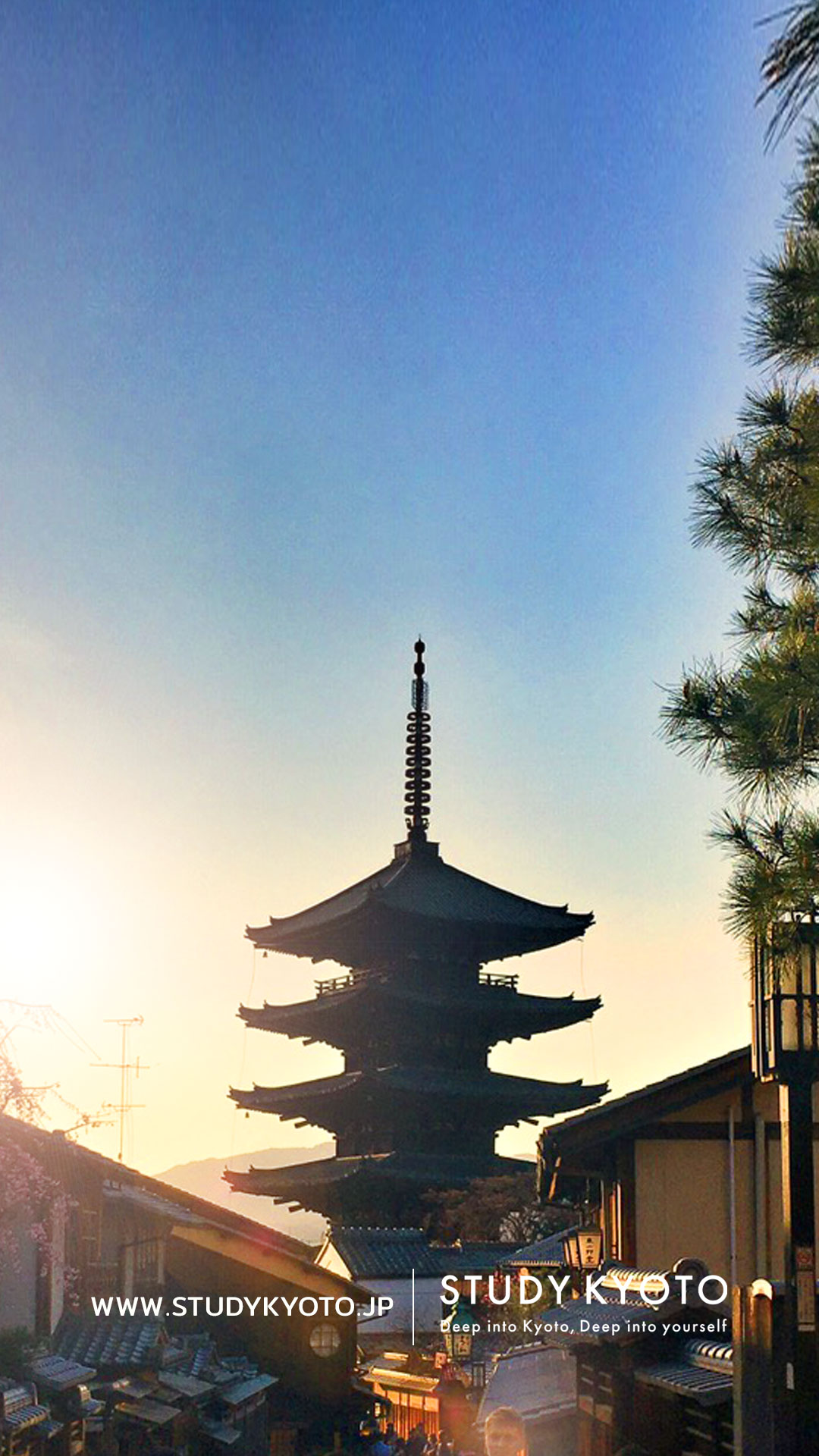 4 3更新 Study Kyoto的壁紙提供免費下載 京都留学資訊