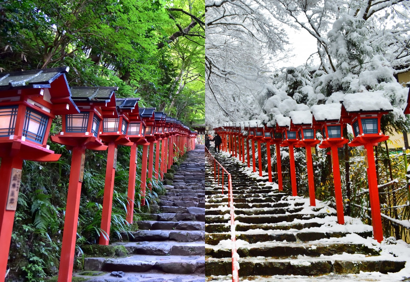 春夏秋冬を感じる京都の留学生活